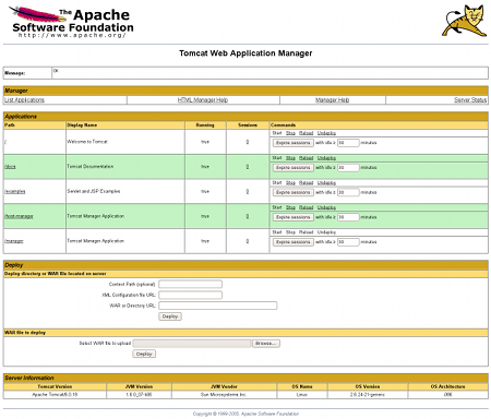 Tomcat Manager Page